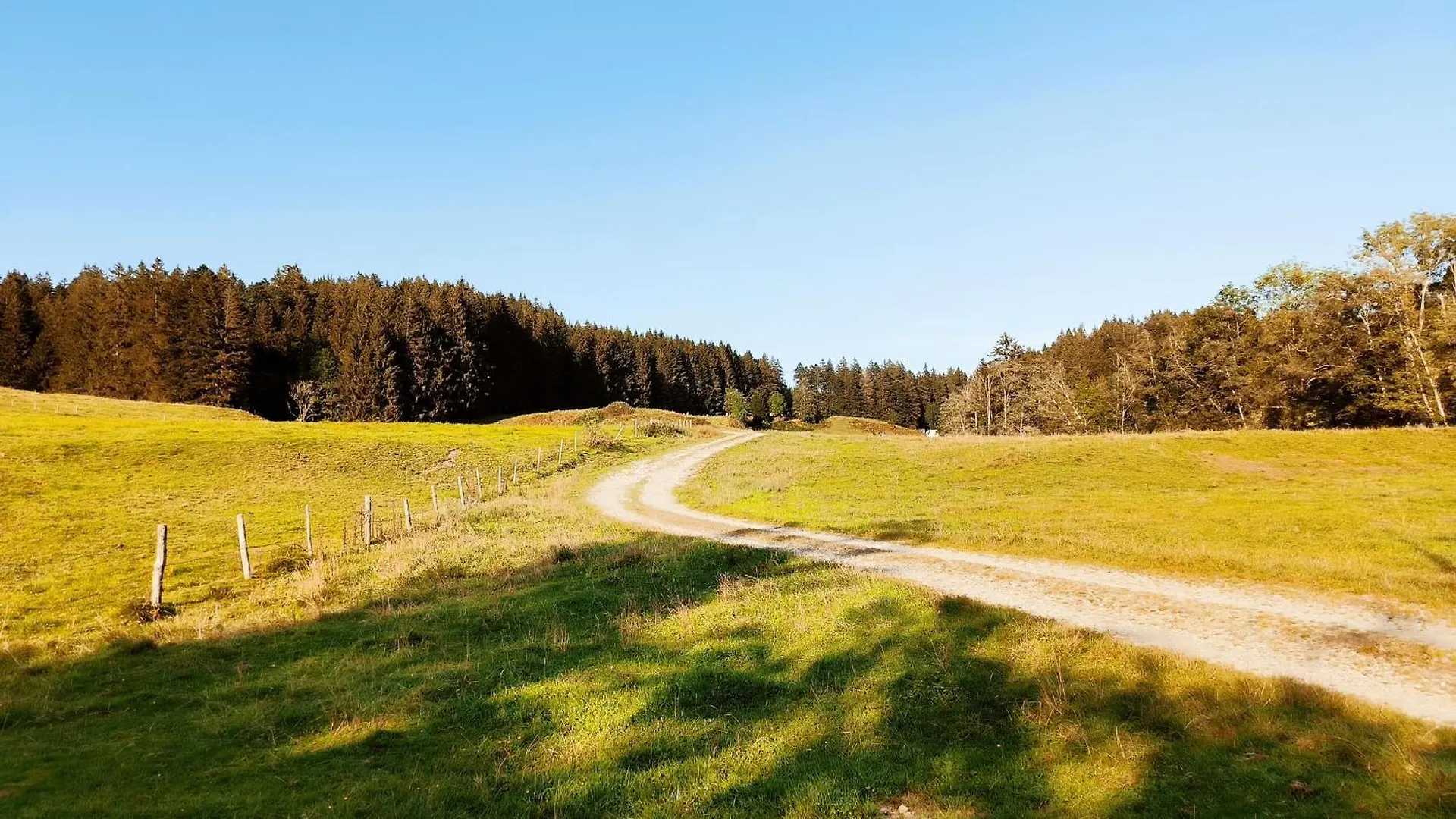 Apartment Fewo Allgaeuerle1605 Mit Hallenbad, Sauna, Tiefgarage Und Wlan Missen-Wilhams